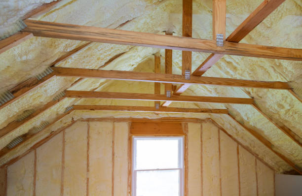 Best Insulation Removal  in Poplar Plains, CT
