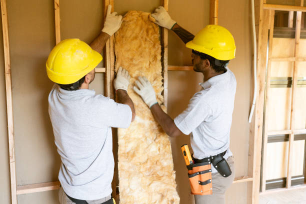 Best Insulation Contractors for Homes  in Poplar Plains, CT